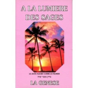 A La Lumière Des Sages: La Genèse - Zeev Greenwald