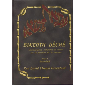 Bineoth Déché Tome 1 Béréchith