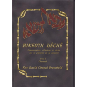 Bineoth Déché Tome 2 Chemoth