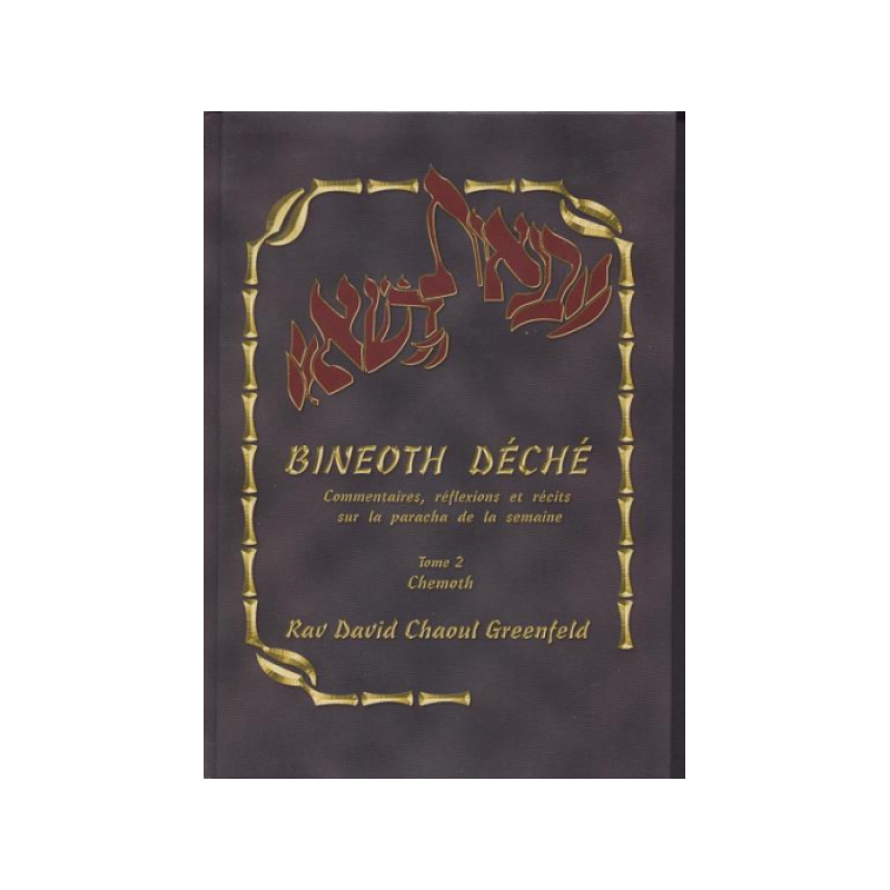 Bineoth Déché Tome 2 Chemoth