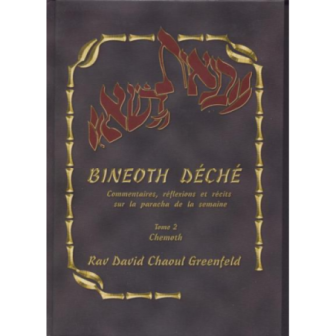 Bineoth Déché Tome 2 Chemoth