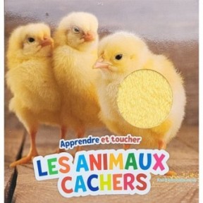 Apprendre et toucher les animaux cachers